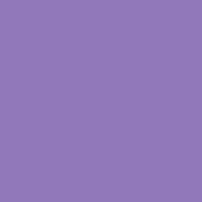 Peinture pigmentée V1 Violet outremer